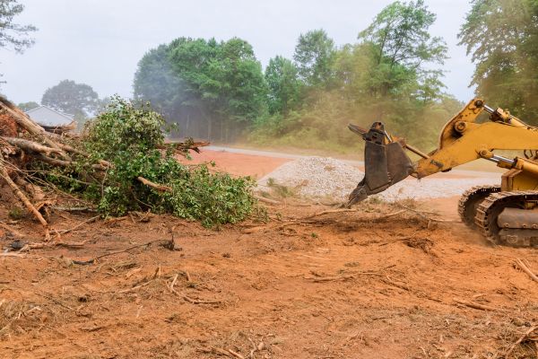 Ground Clearing in Tomball