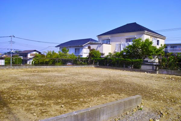 Cost of Lot Clearing Service in Tomball