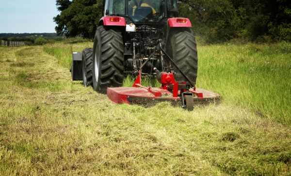 Brush Clearing Service in Tomball