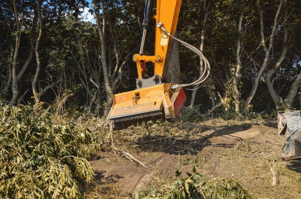 Brush Removal Service in Tomball