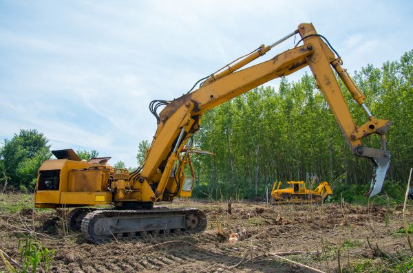 Farm Clearing in Tomball