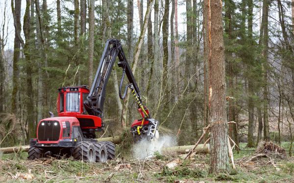 Forest Clearance Service in Tomball