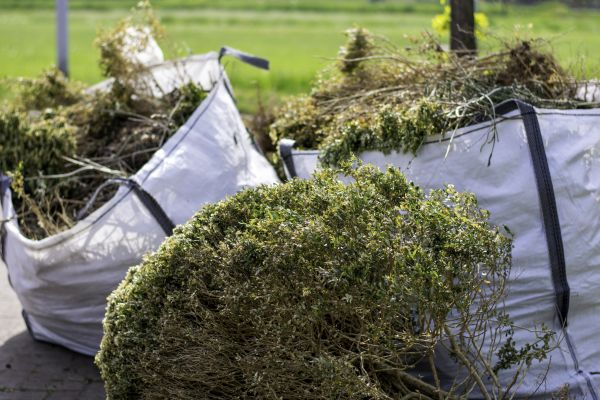 Cost of Bushes Clearing in Tomball