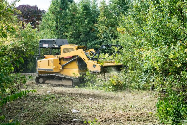 Pathway Clearing in Tomball