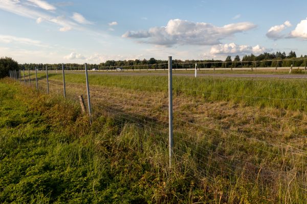 Property Line Clearing in Tomball